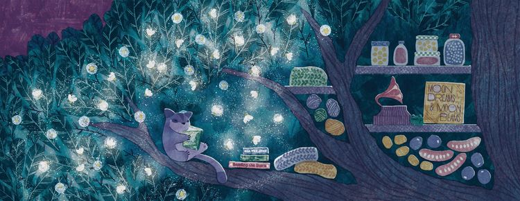 Produktbild: Sugar Glider Lights a Way