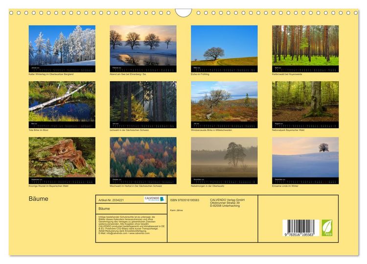 Produktbild: B&auml;ume (Wandkalender 2026 DIN A3 quer), CALVENDO Monatskalender