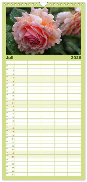 Produktbild: Familienplaner 2026 - Rosen Reigen im Garten mit 5 Spalten (Wandkalender, 21 x 45 cm) CALVENDO