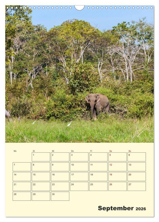 Produktbild: ELEFANTEN - Asiens graue Riesen (Wandkalender 2026 DIN A3 hoch), CALVENDO Monatskalender