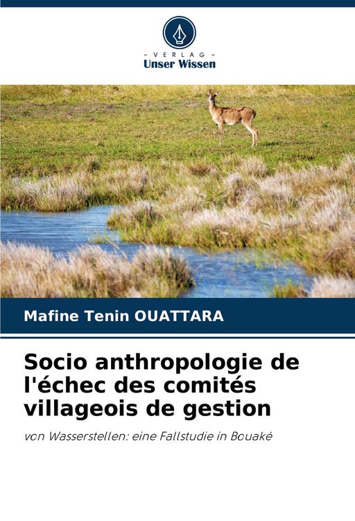 Produktbild: Socio anthropologie de l'&eacute;chec des comit&eacute;s villageois de gestion