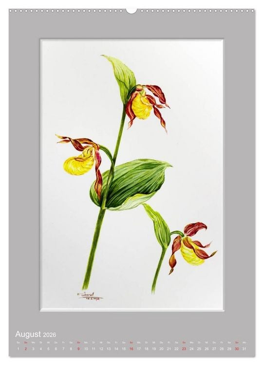 Produktbild: Alpenblumen Aquarelle aus Tirol (hochwertiger Premium Wandkalender 2026 DIN A2 hoch), Kunstdruck in Hochglanz