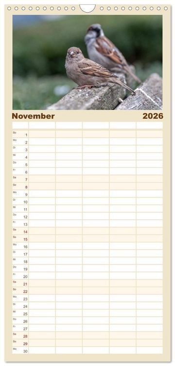 Produktbild: Familienplaner 2026 - Spatzen mit 5 Spalten (Wandkalender, 21 x 45 cm) CALVENDO