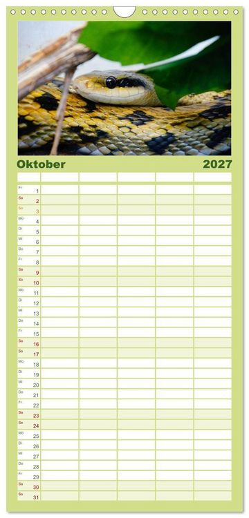 Produktbild: Familienplaner 2027 - Schlangen mit 5 Spalten (Wandkalender, 21 x 45 cm) CALVENDO