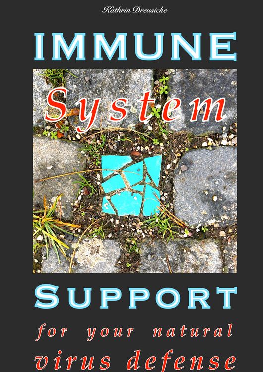 Produktbild: Immune System Support