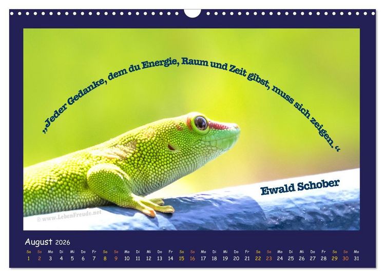 Produktbild: Bewusst leben und gl&uuml;cklich sein (Wandkalender 2026 DIN A3 quer), CALVENDO Monatskalender