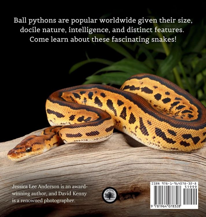 Produktbild: Ball Pythons
