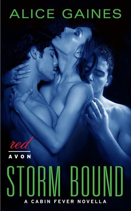 Produktbild: Storm Bound