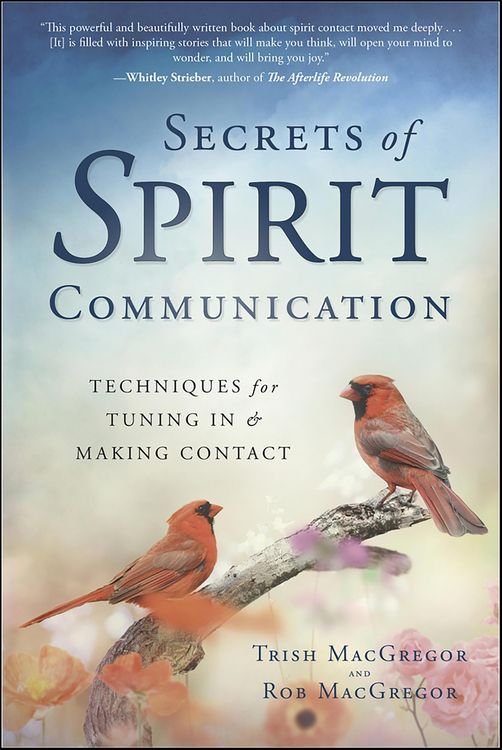 Produktbild: Secrets of Spirit Communication