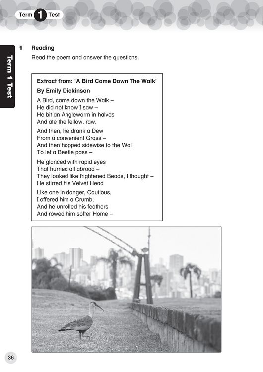 Produktbild: International Primary English Progress Book Student's Book: Stage 5