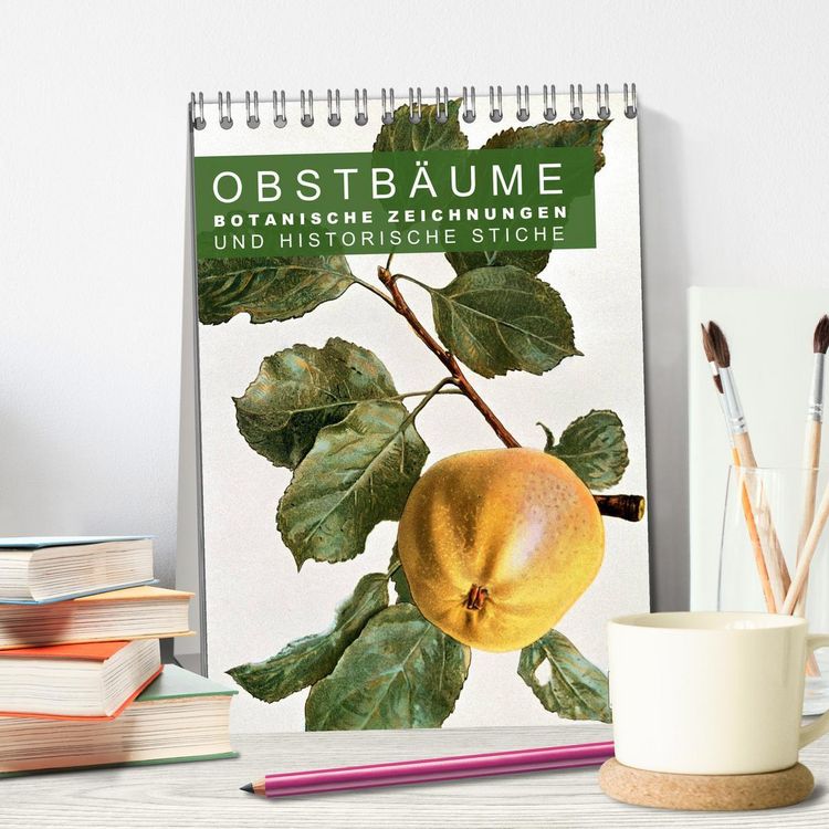 Produktbild: Obstb&auml;ume: Botanische Zeichnungen und historische Stiche (Tischkalender 2026 DIN A5 hoch), CALVENDO Monatskalender