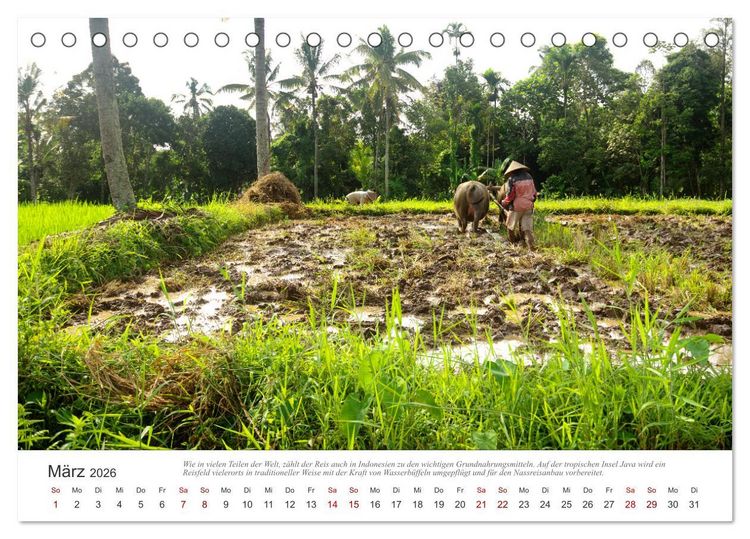 Produktbild: JAVA Natur pur (Tischkalender 2026 DIN A5 quer), CALVENDO Monatskalender