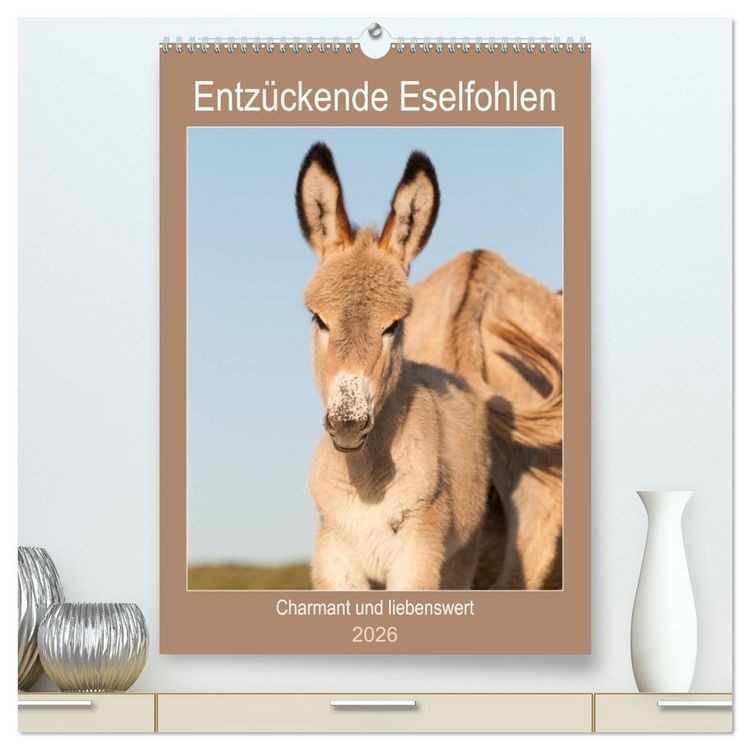 Produktbild: Entz&uuml;ckende Esel - Charmant und liebenswert (hochwertiger Premium Wandkalender 2026 DIN A2 hoch), Kunstdruck in Hochglanz