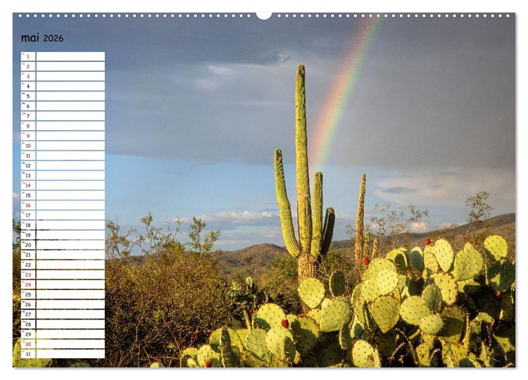 Produktbild: Arizona, une rencontre avec la nature (Calendrier mural 2026 DIN A2 vertical) calendrier de bureau