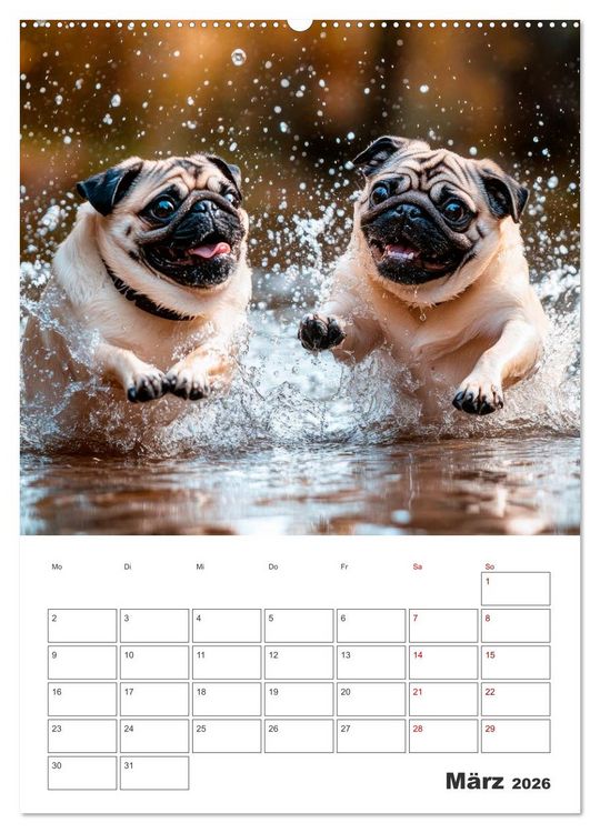 Produktbild: MOPS Pfotengl&uuml;ck in Faltenform (hochwertiger Premium Wandkalender 2026 DIN A2 hoch), Kunstdruck in Hochglanz