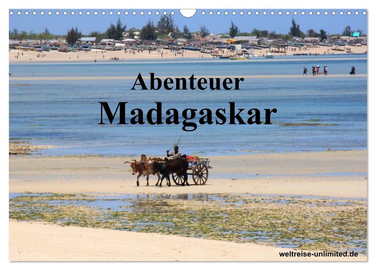 Produktbild: Abenteuer Madagaskar (Wandkalender 2026 DIN A3 quer), CALVENDO Monatskalender