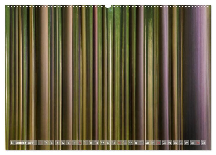 Produktbild: Atelier Wald - gemalt mit Licht (Wandkalender 2026 DIN A2 quer), CALVENDO Monatskalender