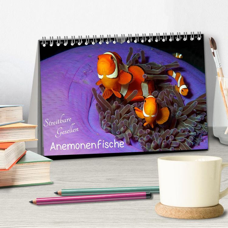 Produktbild: Anemonenfische - Streitbare Gesellen (Tischkalender 2026 DIN A5 quer), CALVENDO Monatskalender