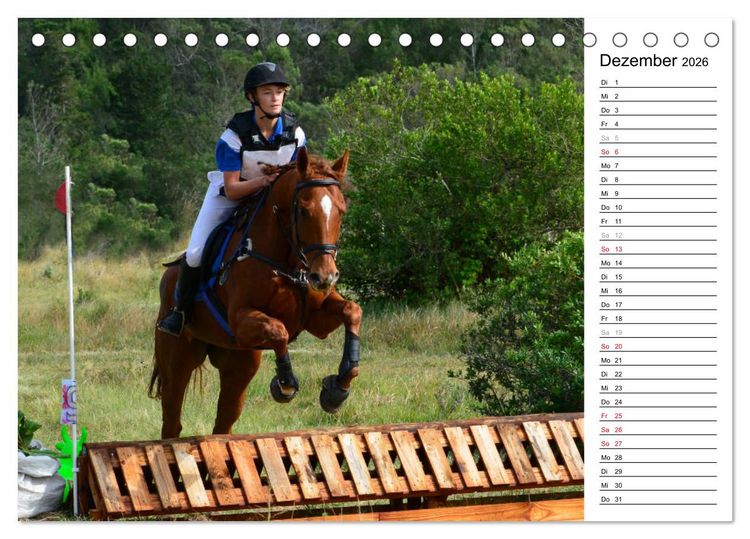 Produktbild: Mein Reitsport Kalender (Tischkalender 2026 DIN A5 quer), CALVENDO Monatskalender