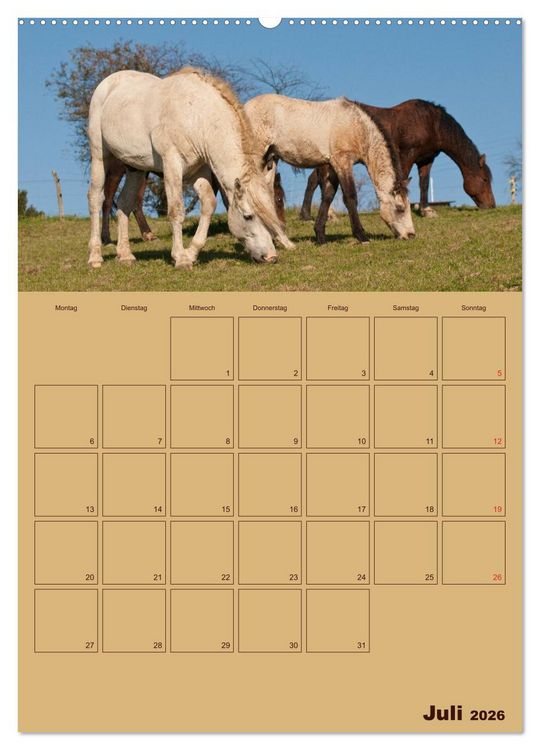 Produktbild: Pferde Gute Freunde (hochwertiger Premium Wandkalender 2026 DIN A2 hoch), Kunstdruck in Hochglanz