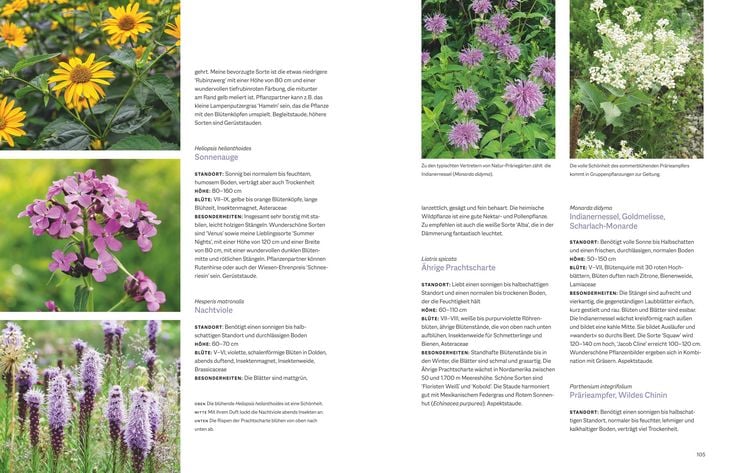 Produktbild: Natur-Pr&auml;rieg&auml;rten