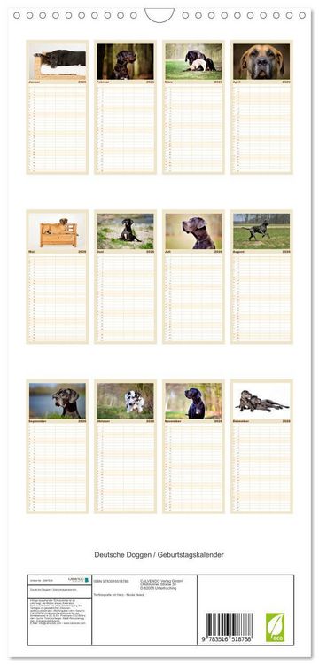 Produktbild: Familienplaner 2026 - Deutsche Doggen / Geburtstagskalender mit 5 Spalten (Wandkalender, 21 x 45 cm) CALVENDO