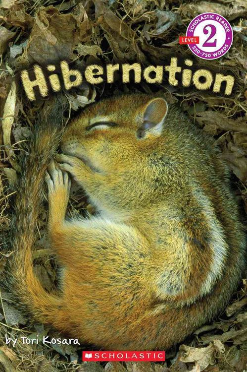 Produktbild: Hibernation (scholastic Reader