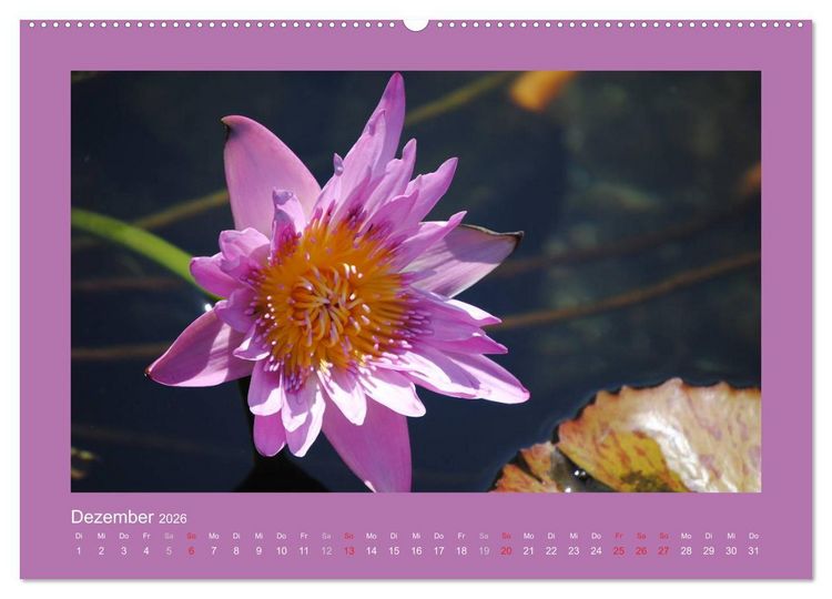 Produktbild: Aloha Bl&uuml;tenzauber aus Hawaii (hochwertiger Premium Wandkalender 2026 DIN A2 quer), Kunstdruck in Hochglanz