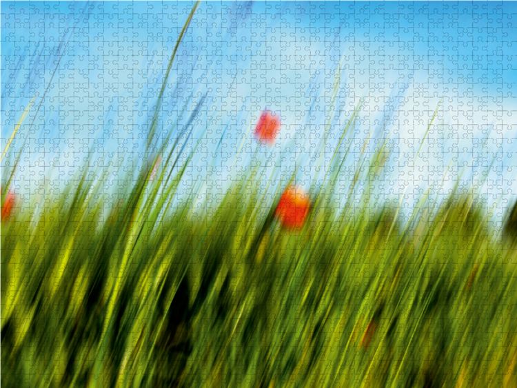 Produktbild: CALVENDO Puzzle MohnARTig 1000 Teile Lege-Gr&ouml;&szlig;e 64 x 48 cm Foto-Puzzle Bild von Martina Marten