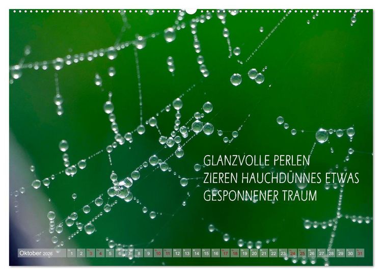 Produktbild: Haiku Poesie in Wort und Bild (Wandkalender 2026 DIN A2 quer), CALVENDO Monatskalender