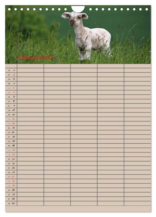Produktbild: Der bel&auml;mmerte Familienplaner (Wandkalender 2026 DIN A4 hoch), CALVENDO Monatskalender