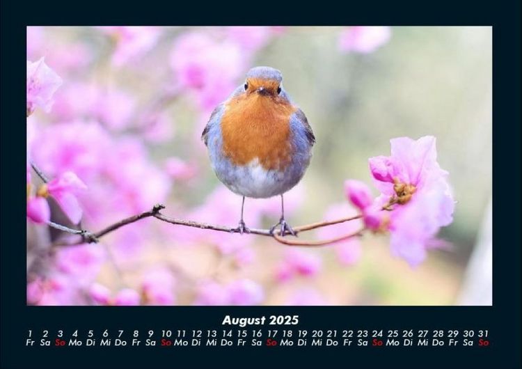 Produktbild: Vogelparadies 2025 Fotokalender DIN A4