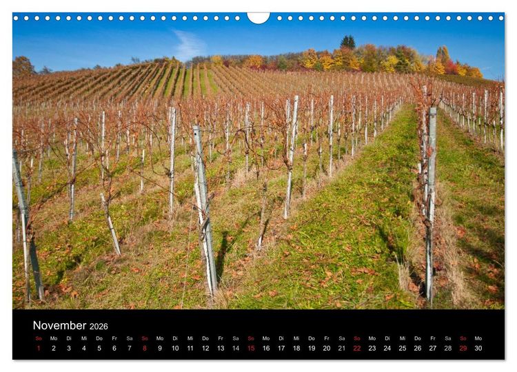 Produktbild: Weinberge im Remstal (Wandkalender 2026 DIN A3 quer), CALVENDO Monatskalender