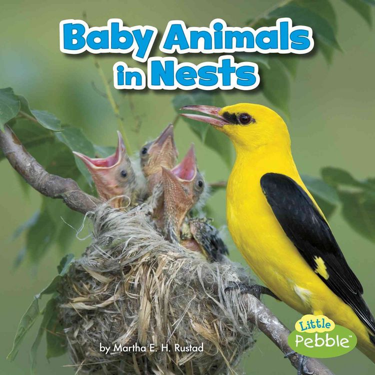 Produktbild: Baby Animals in Nests