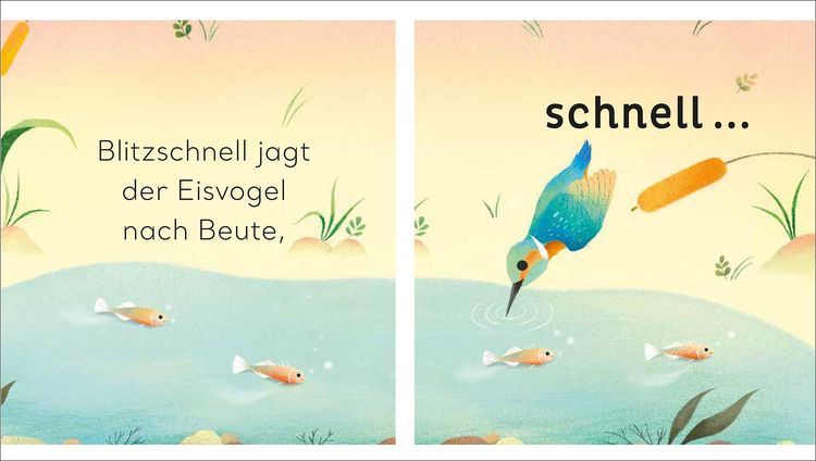 Produktbild: Eine kleine Welt im Teich