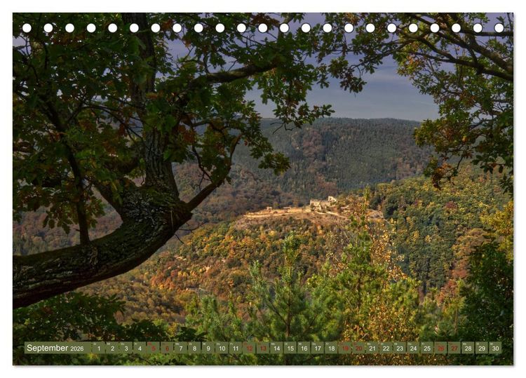Produktbild: Augenschmaus Pf&auml;lzer Wald (Tischkalender 2026 DIN A5 quer), CALVENDO Monatskalender