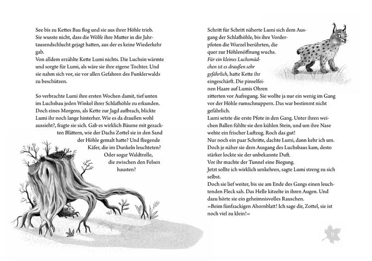 Produktbild: Funklerwald
