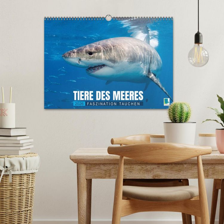 Produktbild: Tiere des Meeres: Faszination Tauchen (Wandkalender 2026 DIN A3 quer), CALVENDO Monatskalender