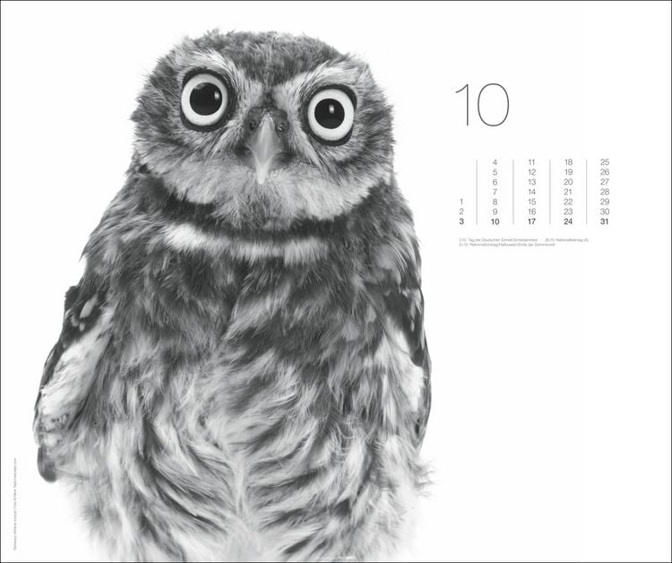 Produktbild: Black & White Animals 2027