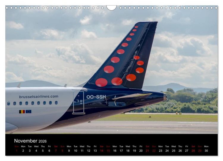 Produktbild: Airline Tails (Wall Calendar 2026 DIN A3 landscape), CALVENDO 12 Month Wall Calendar