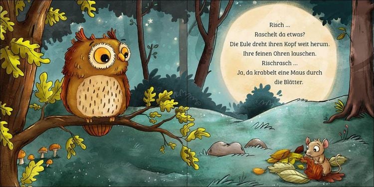 Produktbild: Mein erstes Naturbuch - Die Eule