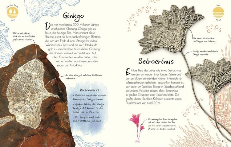 Produktbild: Wundervolle Welt - Kleine Sch&auml;tze. Fossilien