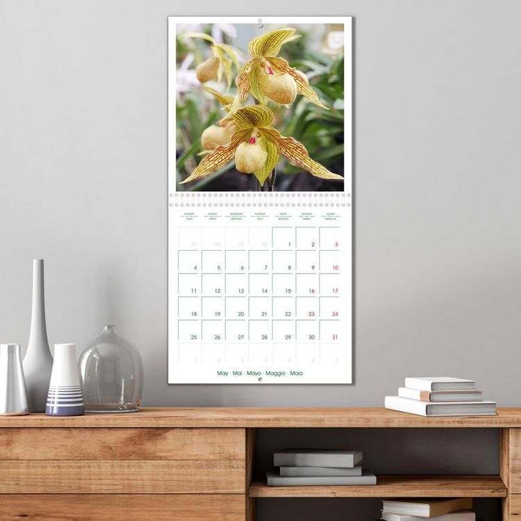 Produktbild: Orchid&eacute;es fantastiques (Calendrier mural carr&eacute; 2026 30x30 cm) Calendrier double avec une page pour vos prises de notes