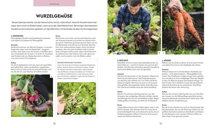 Produktbild: Frische Ernte zum kleinen Preis