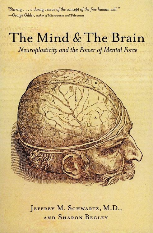 Produktbild: The Mind and the Brain
