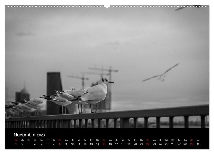 Produktbild: Mein Hamburg (hochwertiger Premium Wandkalender 2026 DIN A2 quer), Kunstdruck in Hochglanz