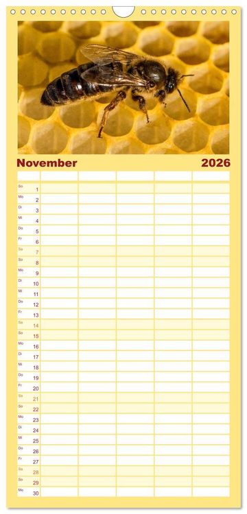 Produktbild: Familienplaner 2026 - Bienenkalender mit 5 Spalten (Wandkalender, 21 x 45 cm) CALVENDO