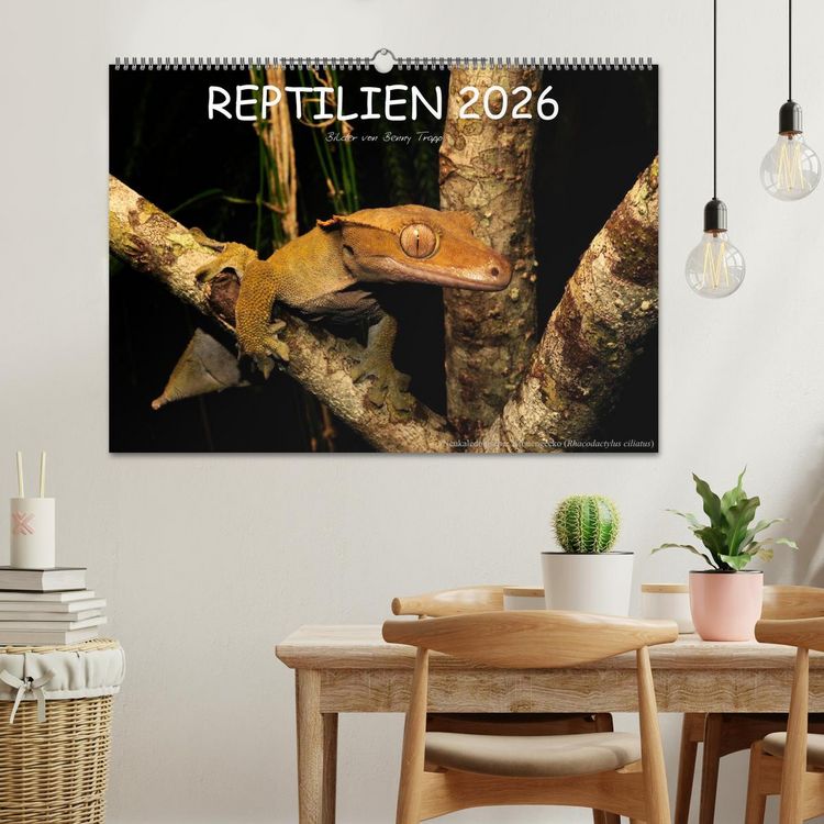 Produktbild: REPTILIEN (Wandkalender 2026 DIN A2 quer), CALVENDO Monatskalender