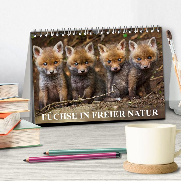 Produktbild: F&uuml;chse in freier Natur (Tischkalender 2026 DIN A5 quer), CALVENDO Monatskalender