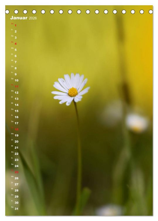 Produktbild: Colors of Nature (Tischkalender 2026 DIN A5 hoch), CALVENDO Monatskalender